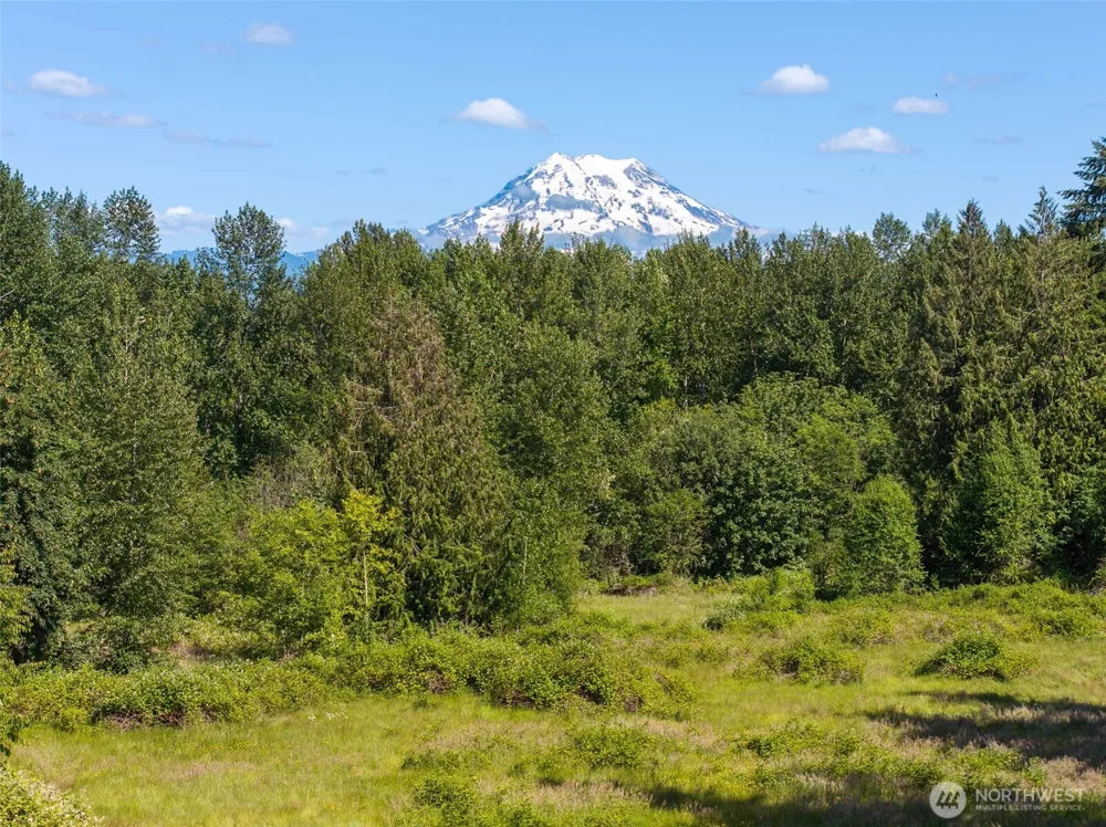 10410 260th Street E Graham, WA 98338