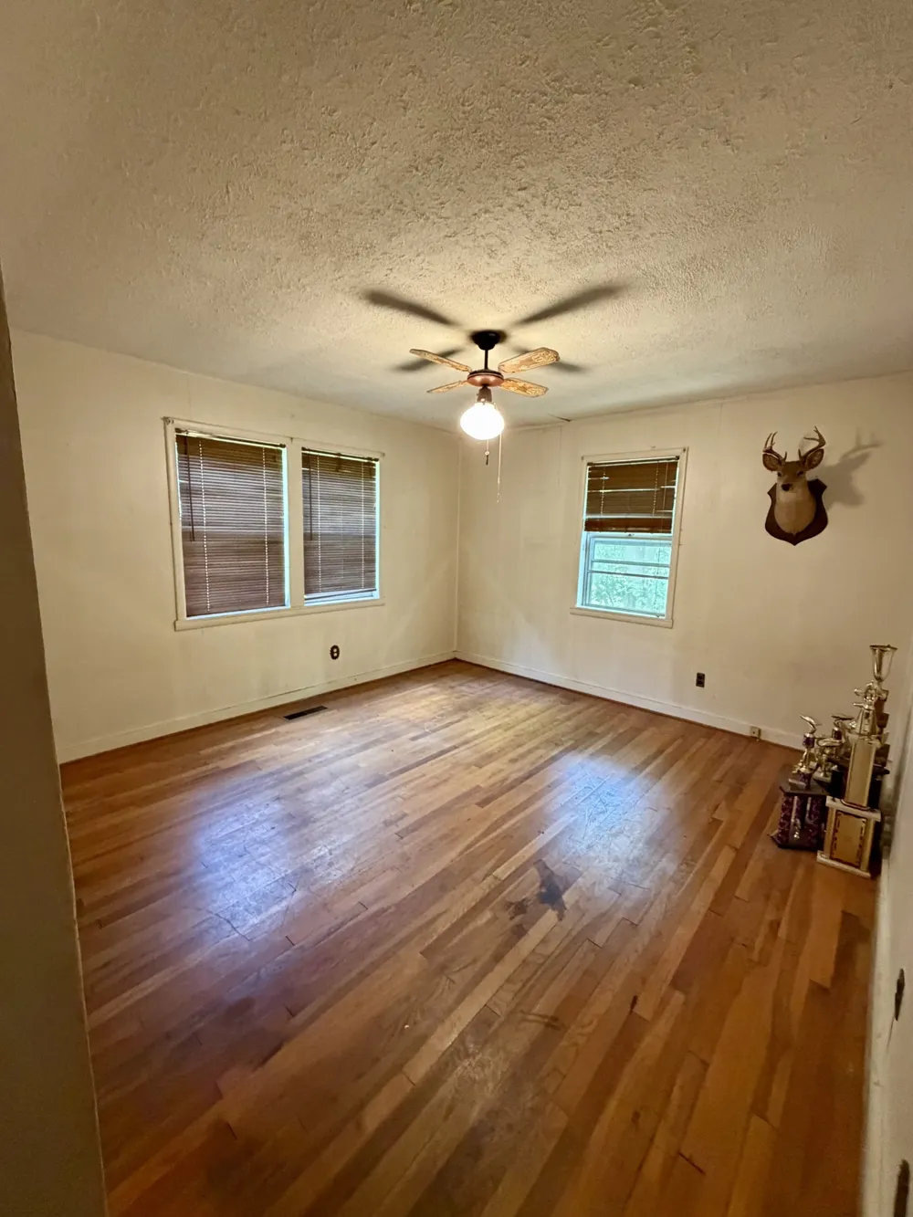 2155 Spring Hill Rd Paris, TN 38242