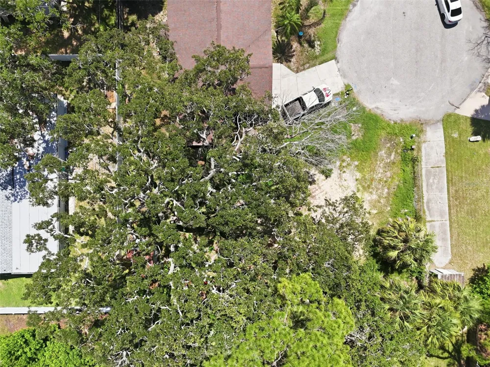 4925 AMHERST COURT New Port Richey, FL 34652