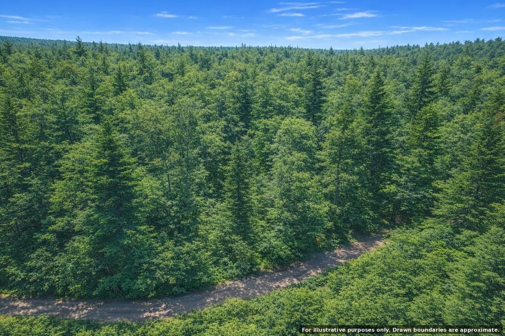 0 Summit Trl Decherd, TN 37324