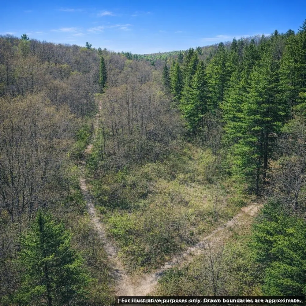 0 Summit Trl Decherd, TN 37324