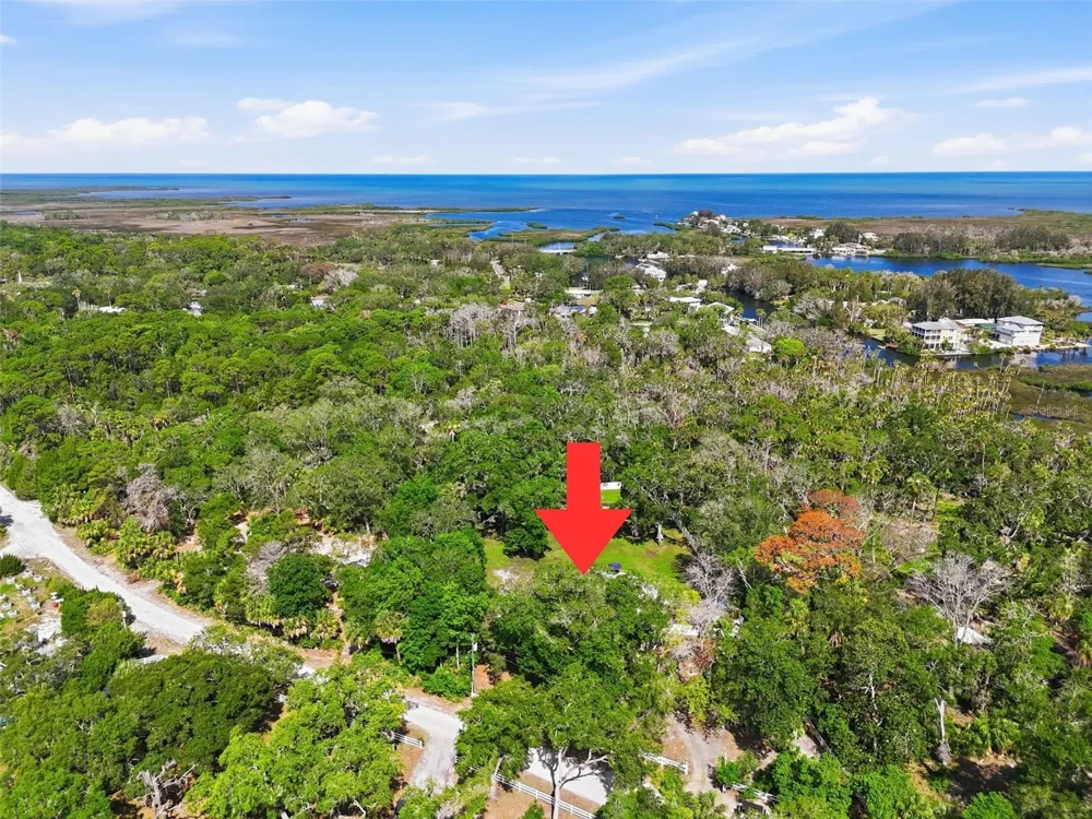 18909 JEBERT DRIVE Aripeka, FL 34679