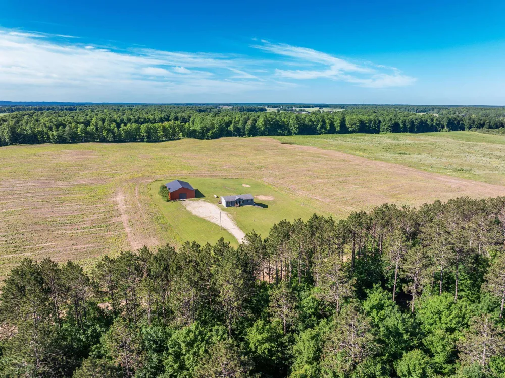 8325 Schell Road Grant Township, MI 49620