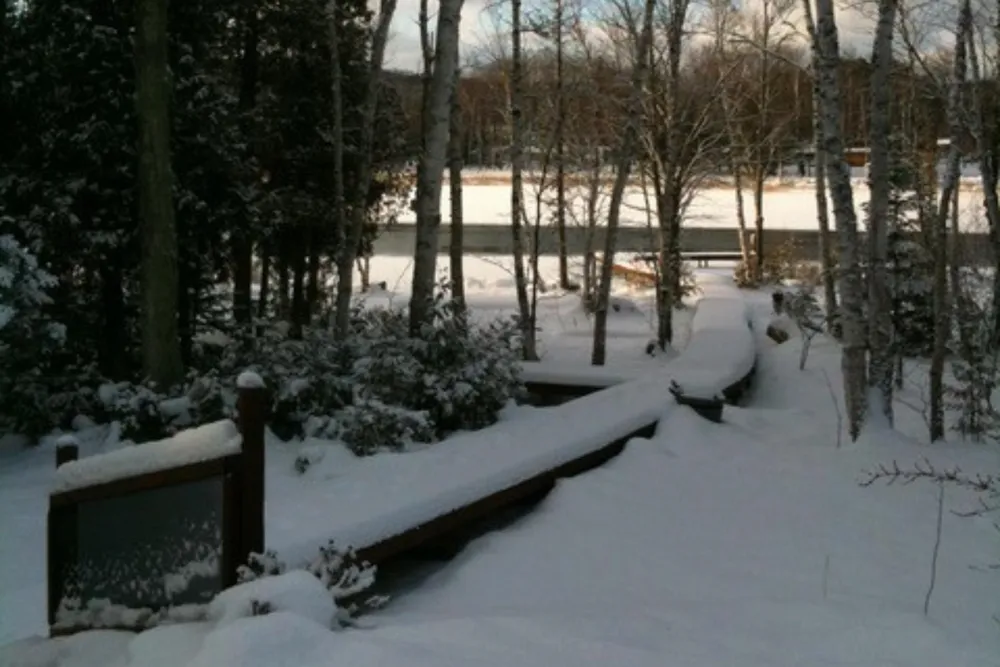 407 Twin Pines Drive Leland Township, MI 49653