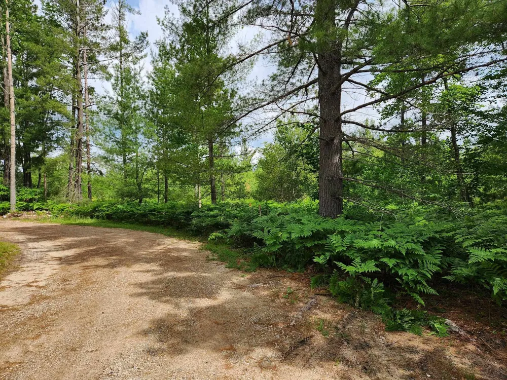 5446 Blue Lake Road, Ne Blue Lake Township, MI 49646