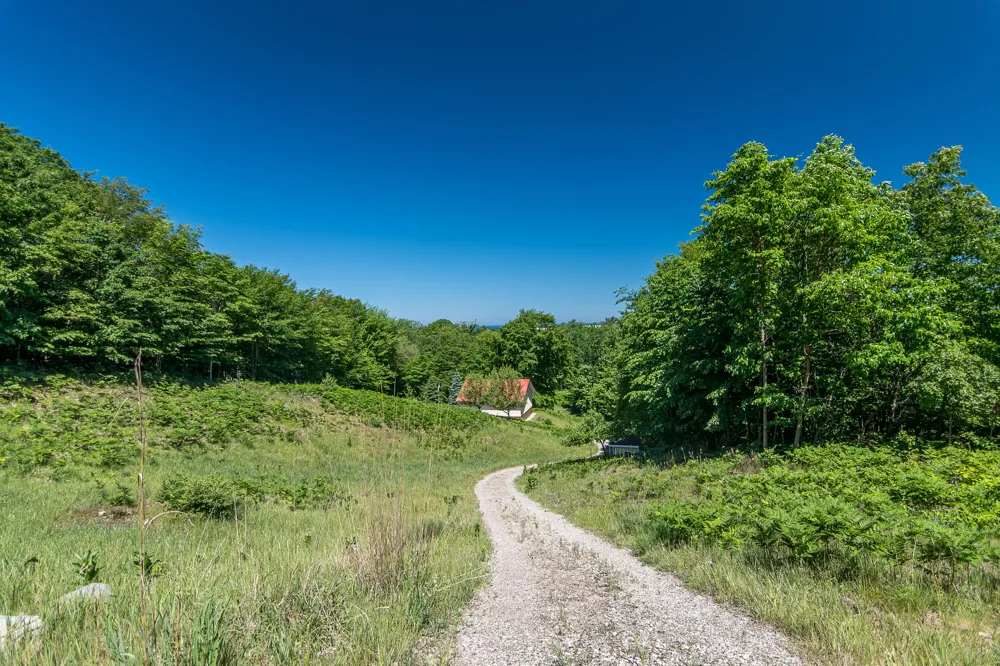 8562 W Woodridge Drive Golden Township, MI 49436