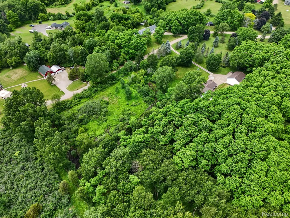 8655 Joey Drive Putnam Township, MI 48169
