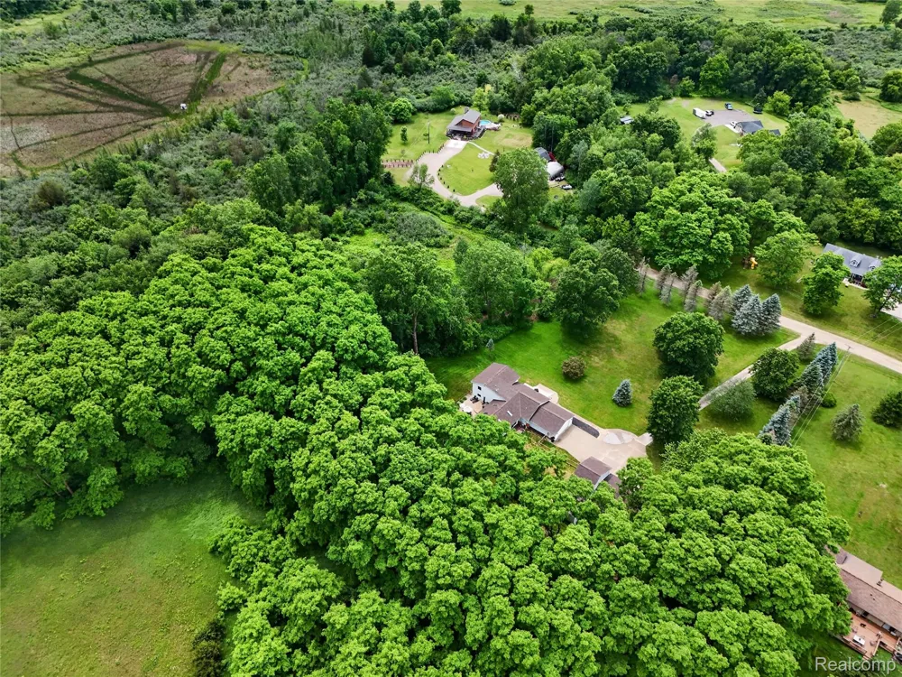 8655 Joey Drive Putnam Township, MI 48169