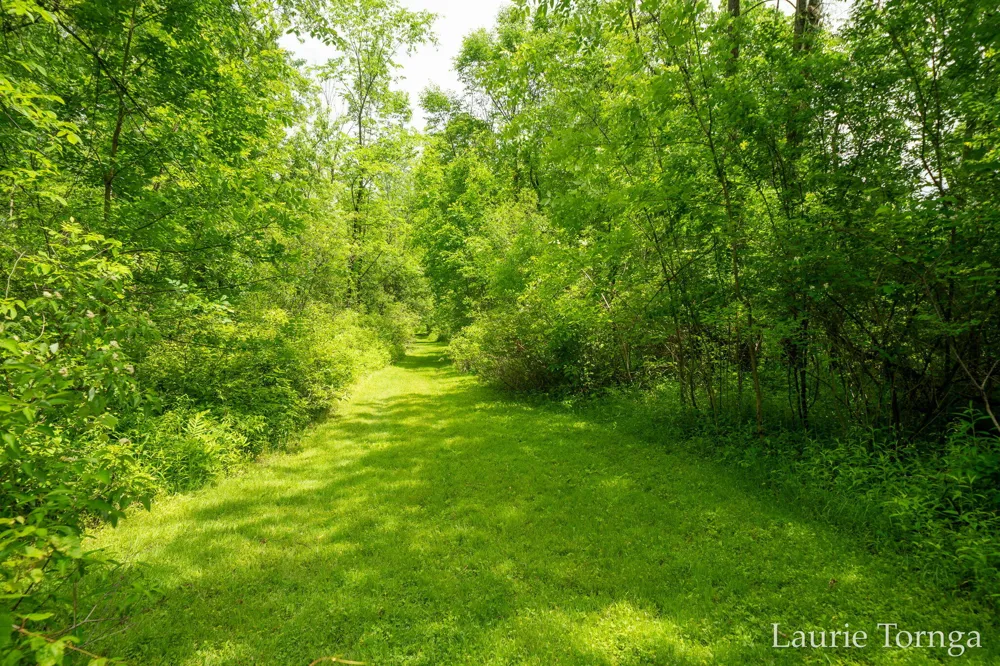 2670 Grand River Drive NE Ada Township, MI 49525