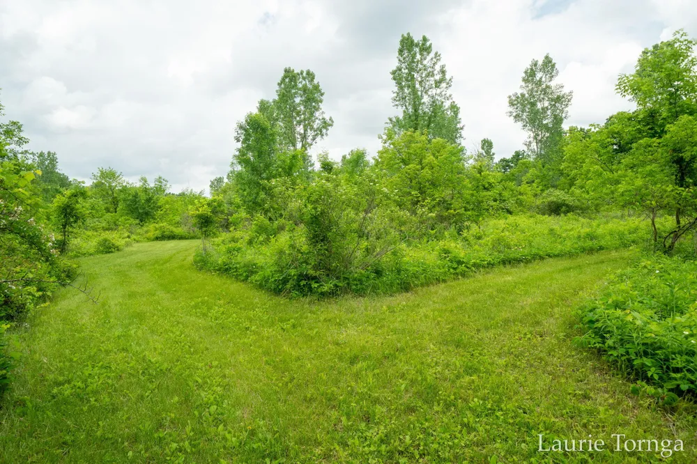 2670 Grand River Drive NE Ada Township, MI 49525