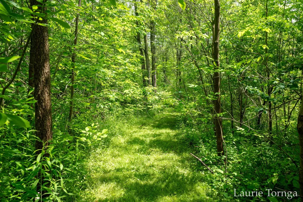 2670 Grand River Drive NE Ada Township, MI 49525