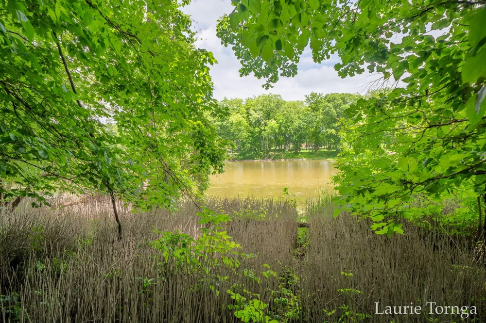 2670 Grand River Drive NE Ada Township, MI 49525