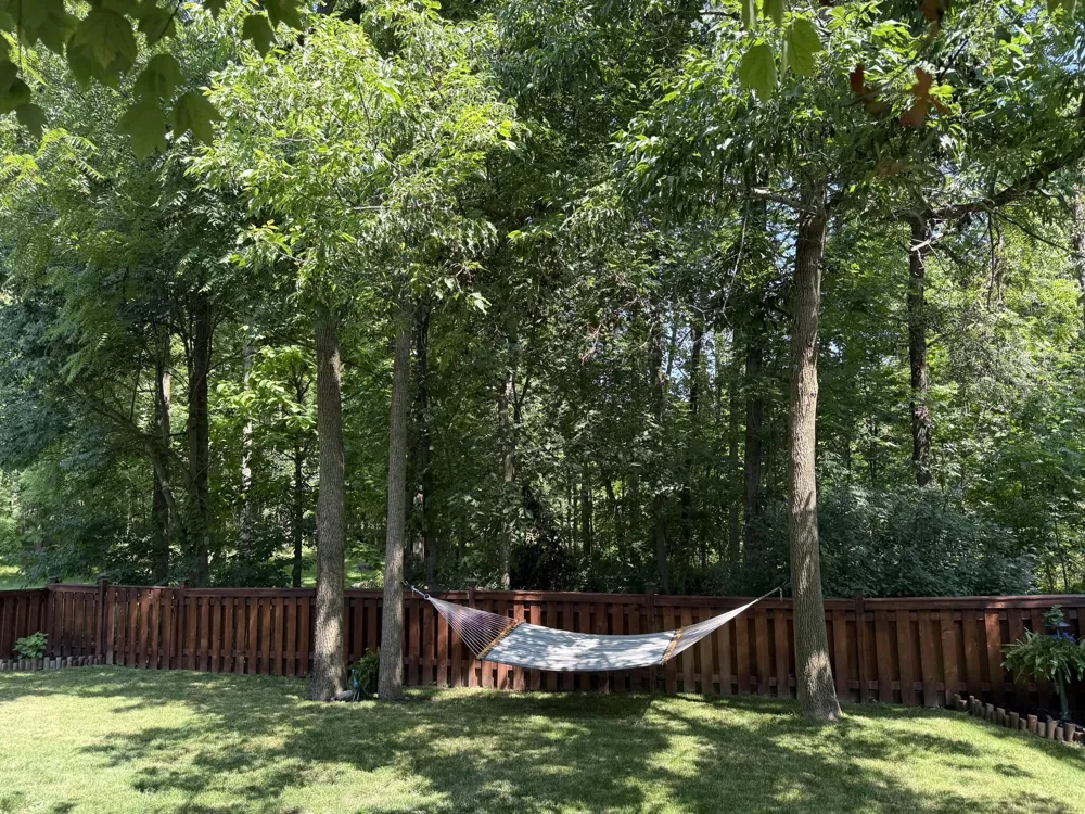 4336 Norway Street Delhi Charter Township, MI 48842