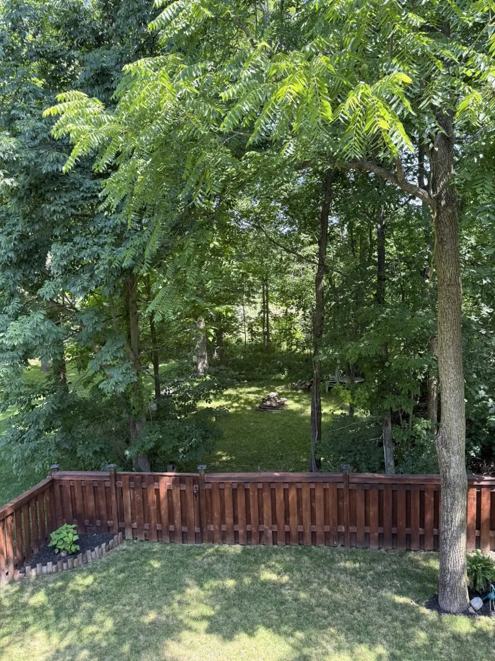 4336 Norway Street Delhi Charter Township, MI 48842