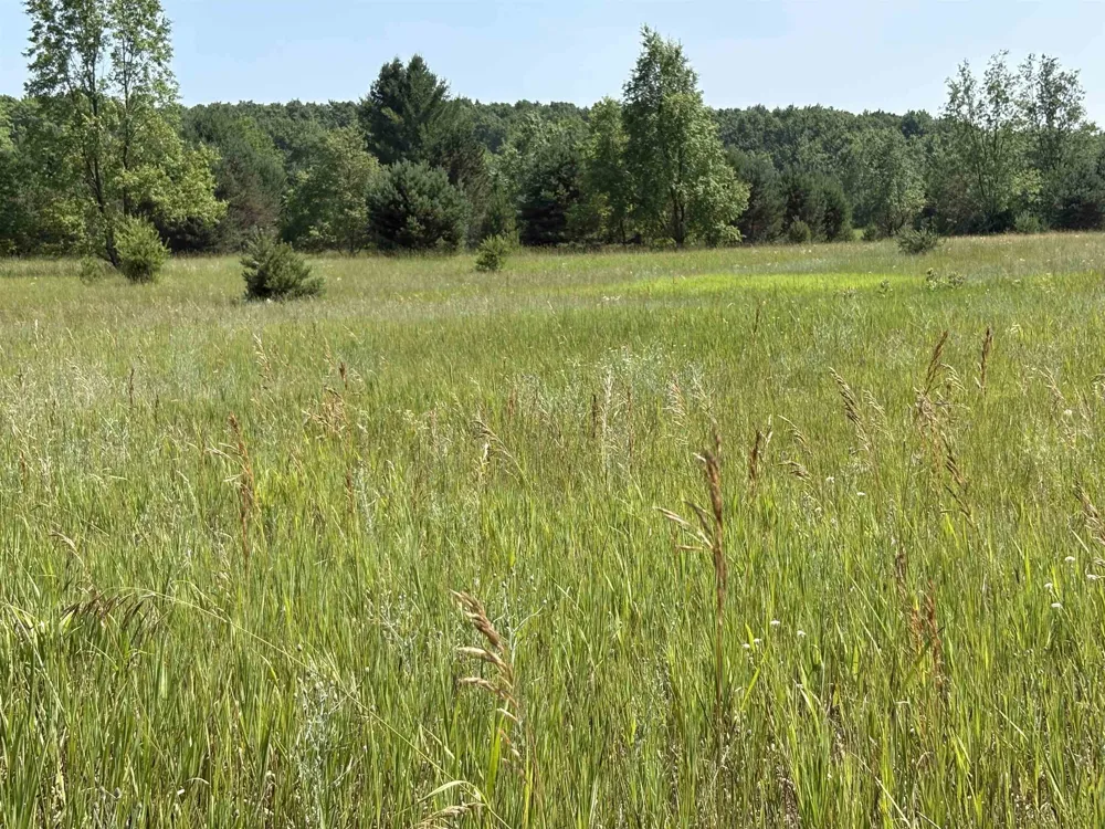 8655 SE Campbell Road Garfield Township, MI 49633