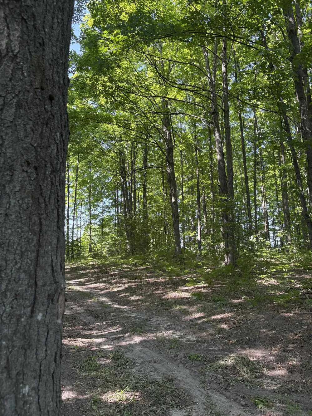 8655 SE Campbell Road Garfield Township, MI 49633
