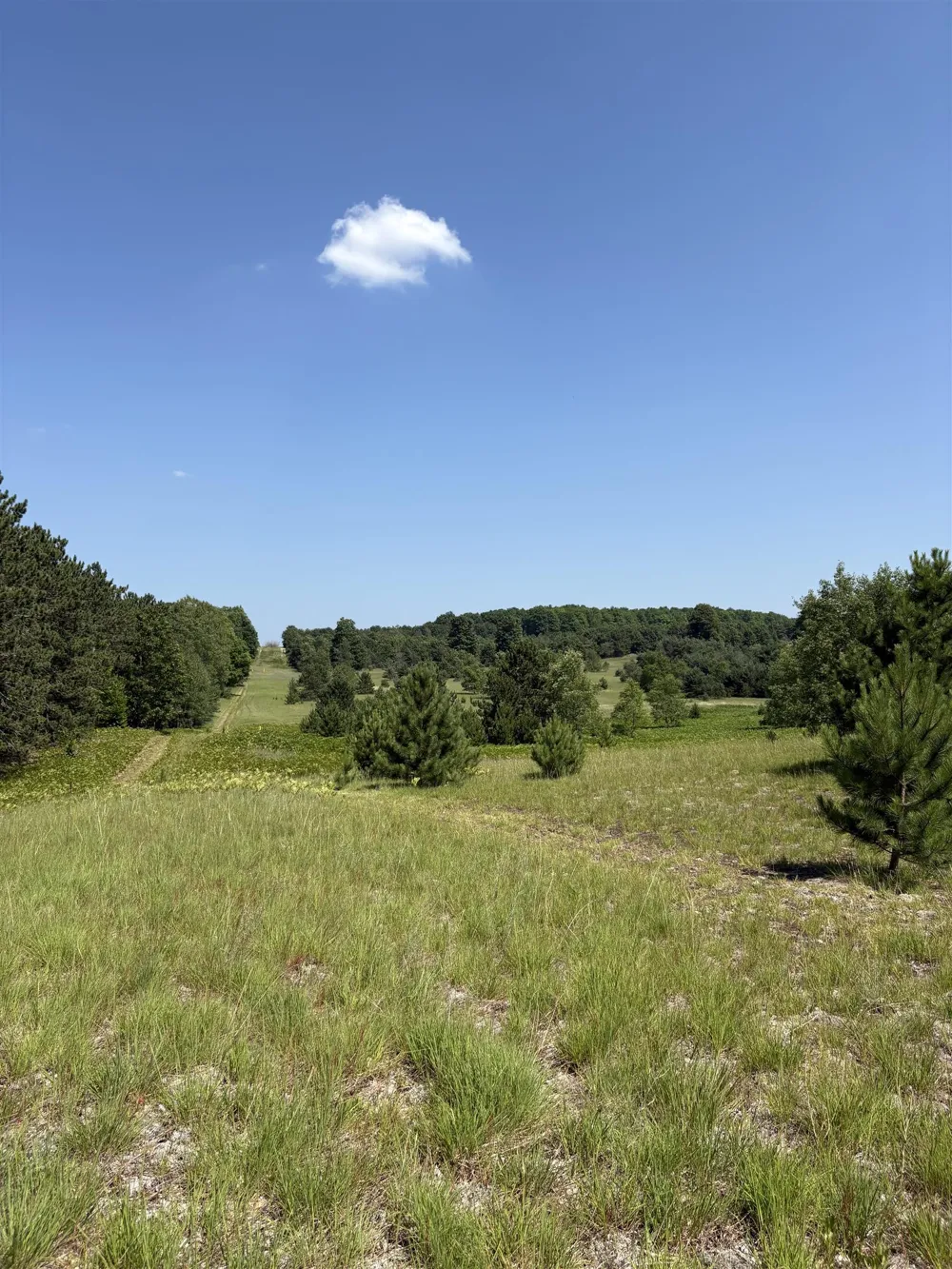 8655 SE Campbell Road Garfield Township, MI 49633