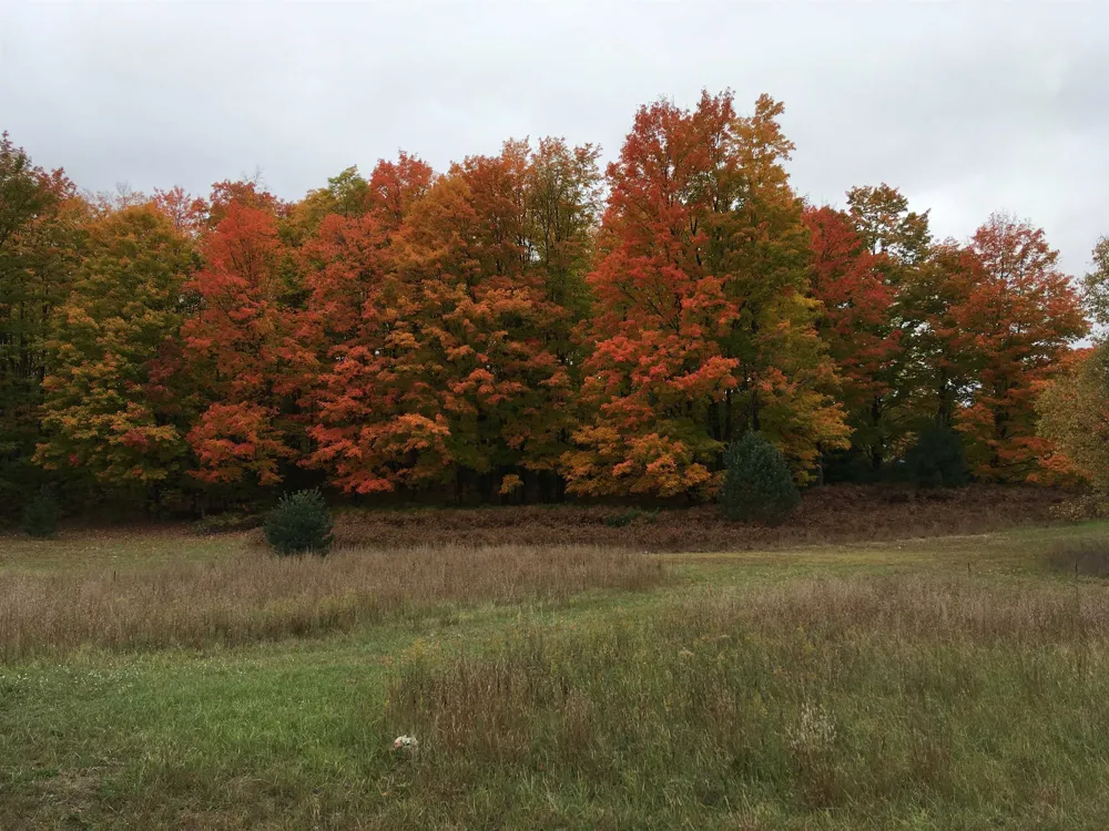 8655 SE Campbell Road Garfield Township, MI 49633