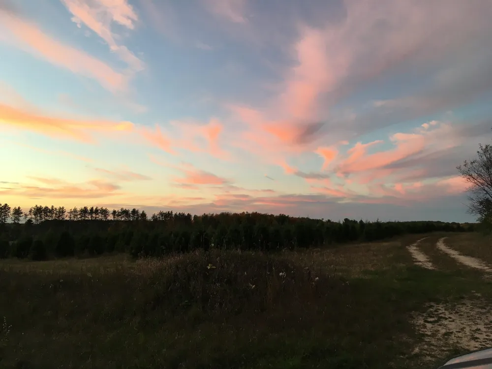 8655 SE Campbell Road Garfield Township, MI 49633