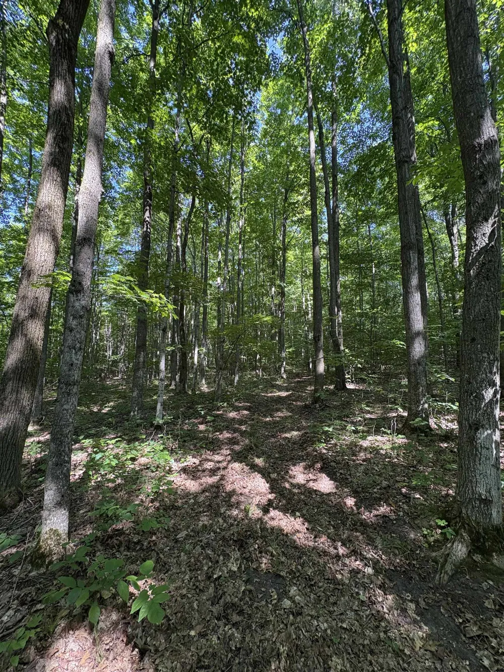 8655 SE Campbell Road Garfield Township, MI 49633