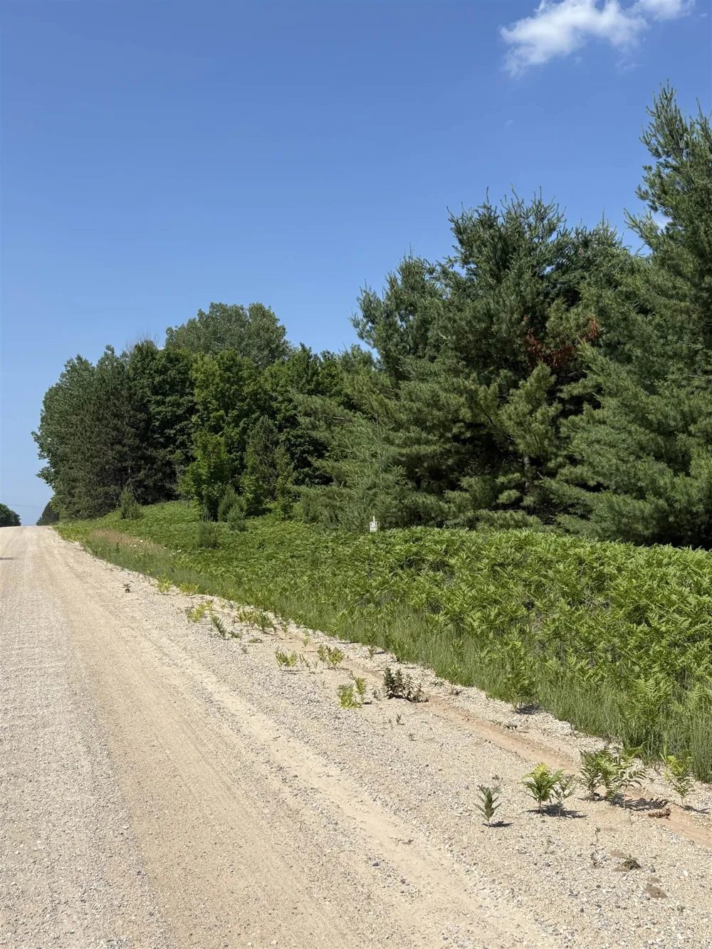 8655 SE Campbell Road Garfield Township, MI 49633