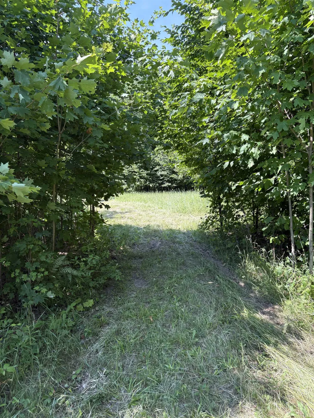 8655 SE Campbell Road Garfield Township, MI 49633
