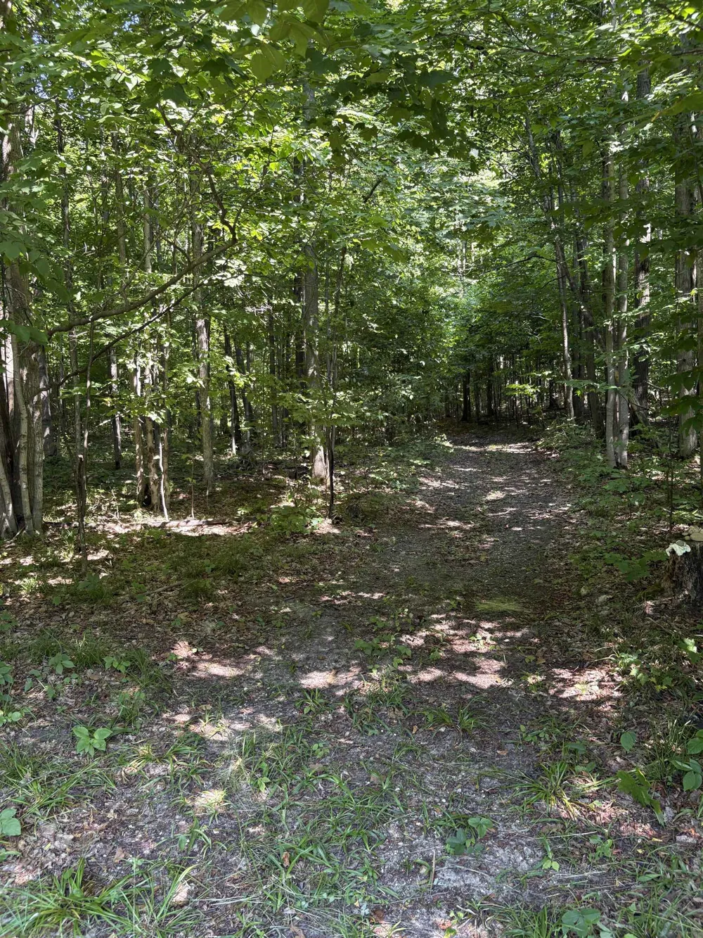 8655 SE Campbell Road Garfield Township, MI 49633