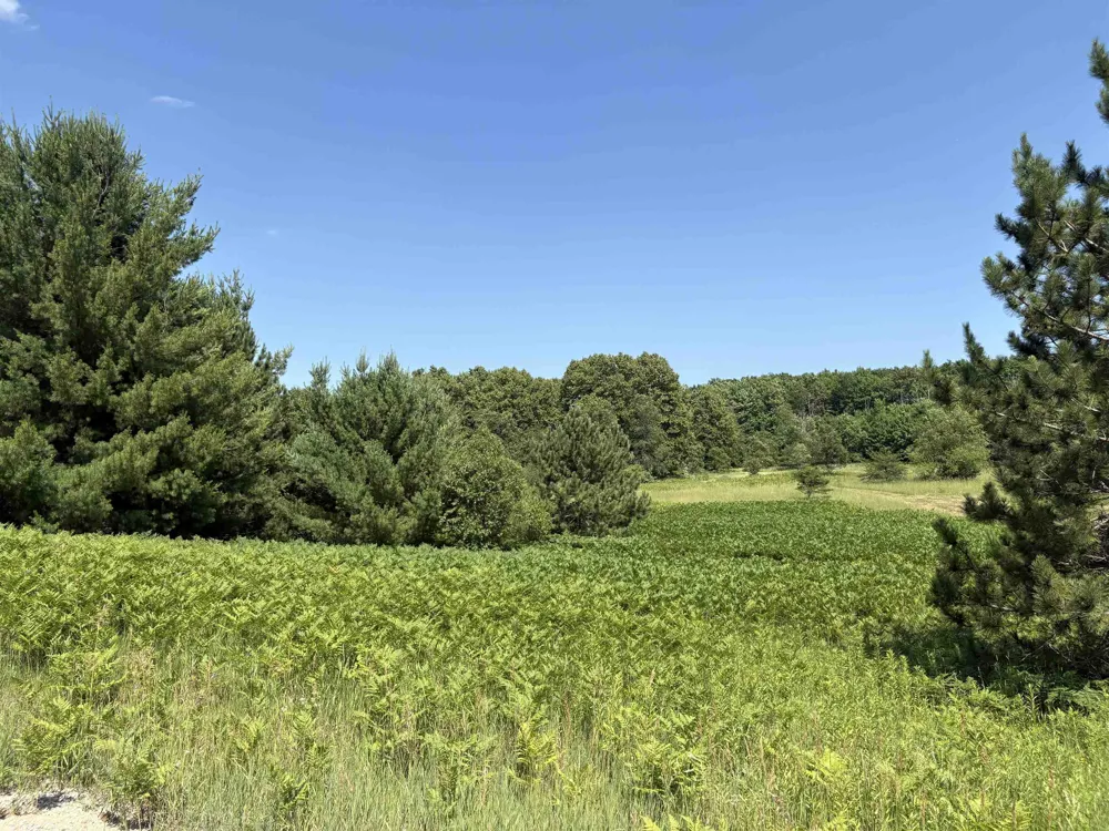 8655 SE Campbell Road Garfield Township, MI 49633