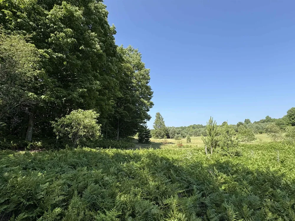 8655 SE Campbell Road Garfield Township, MI 49633