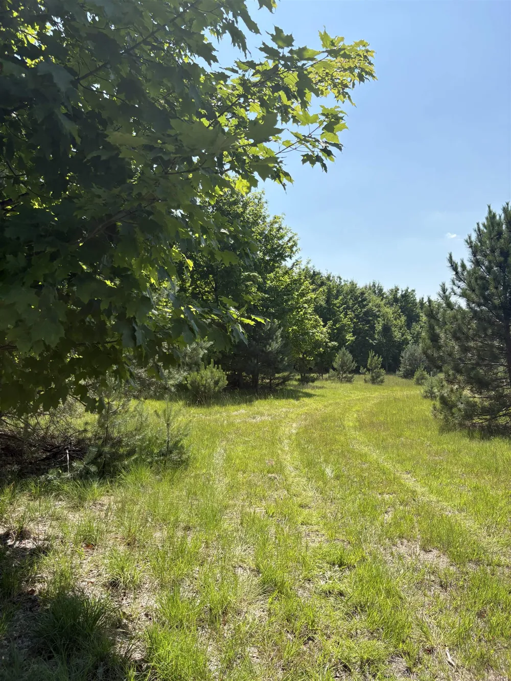 8655 SE Campbell Road Garfield Township, MI 49633
