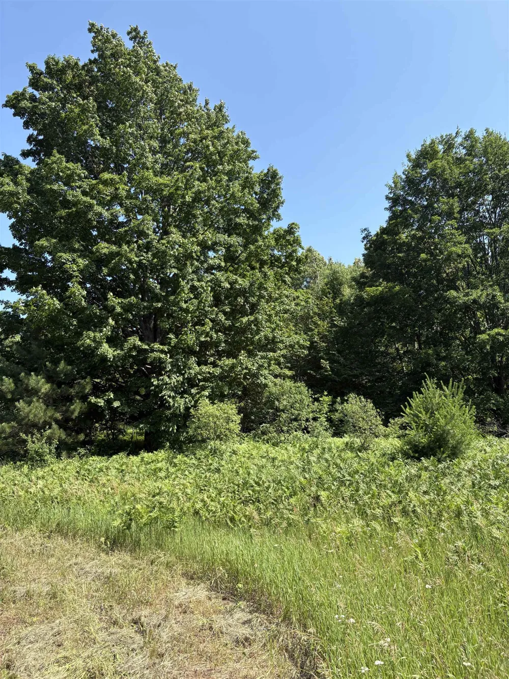 8655 SE Campbell Road Garfield Township, MI 49633