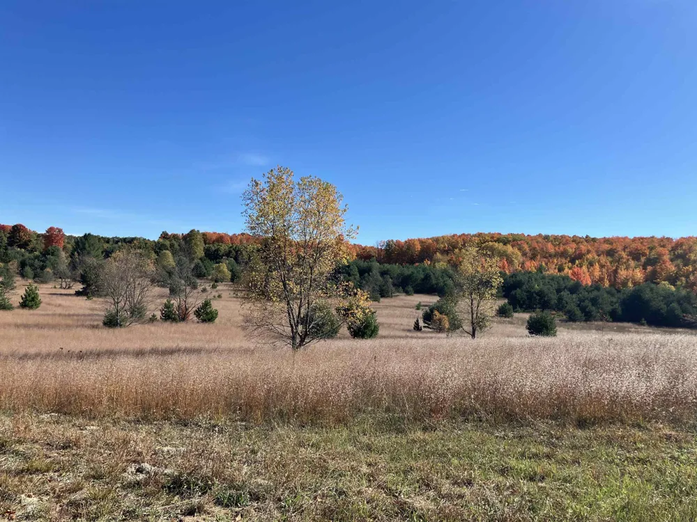 8655 SE Campbell Road Garfield Township, MI 49633