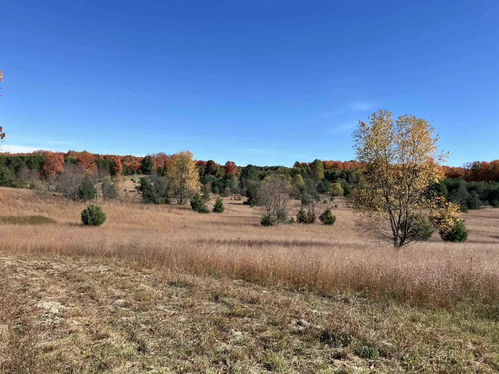 8655 SE Campbell Road Garfield Township, MI 49633