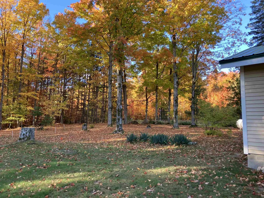 8655 SE Campbell Road Garfield Township, MI 49633