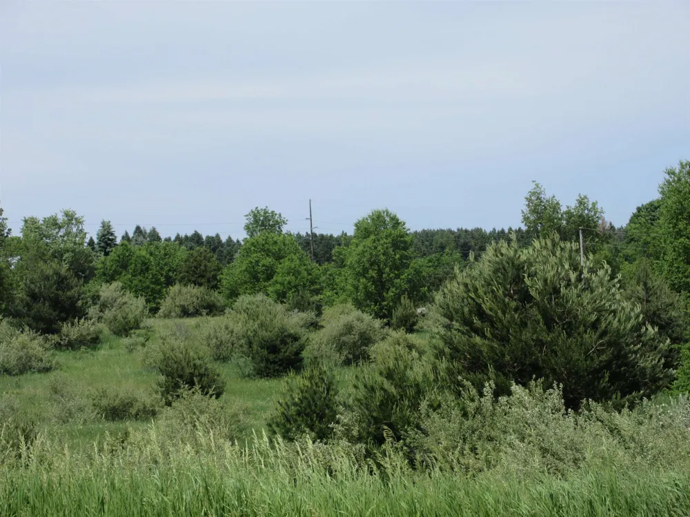 High Lake Road East Bay Township, MI 49696