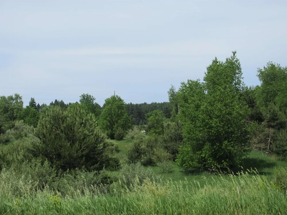 High Lake Road East Bay Township, MI 49696