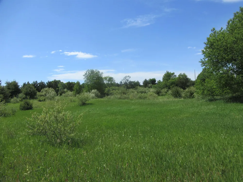 High Lake Road East Bay Township, MI 49696