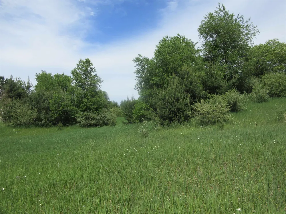 High Lake Road East Bay Township, MI 49696
