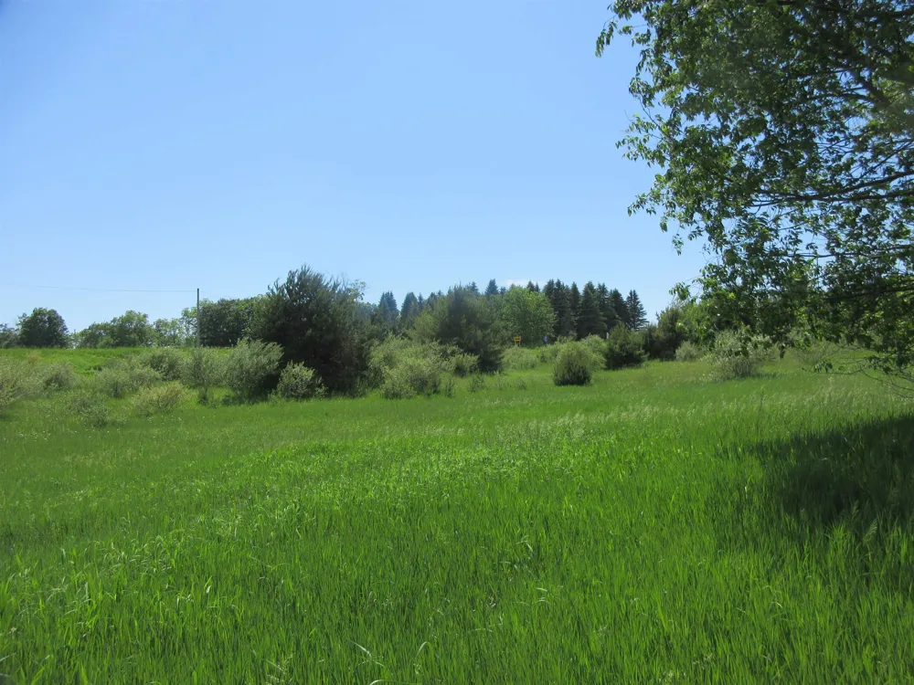 High Lake Road East Bay Township, MI 49696