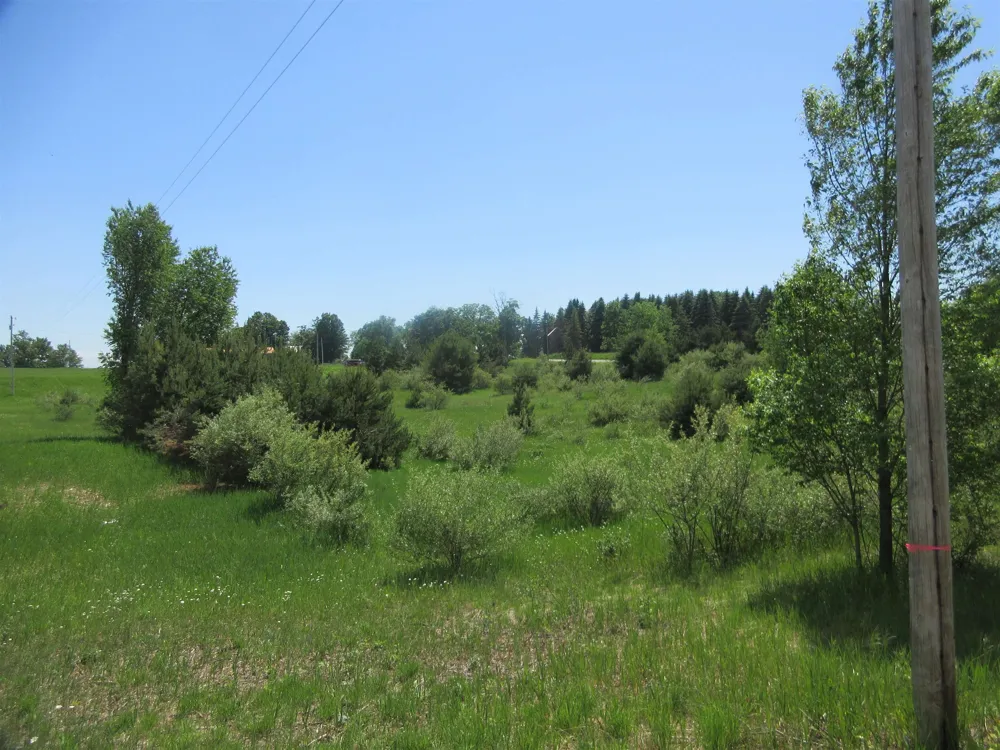 High Lake Road East Bay Township, MI 49696