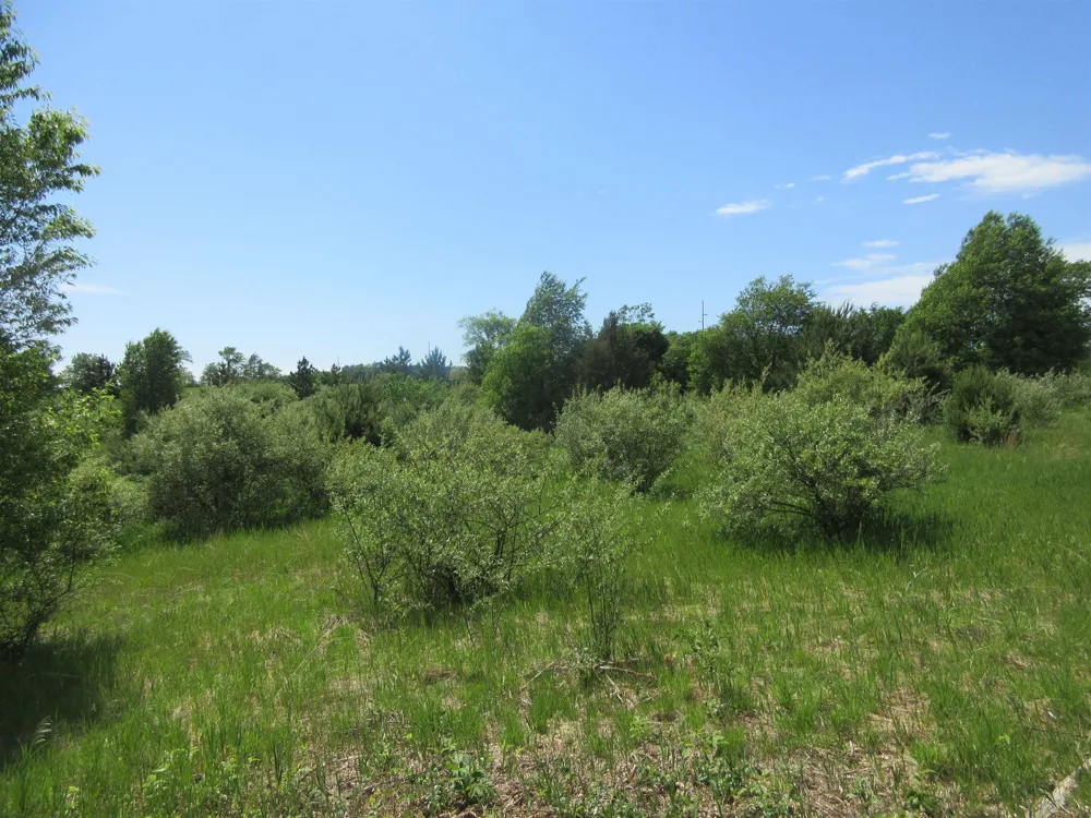 High Lake Road East Bay Township, MI 49696