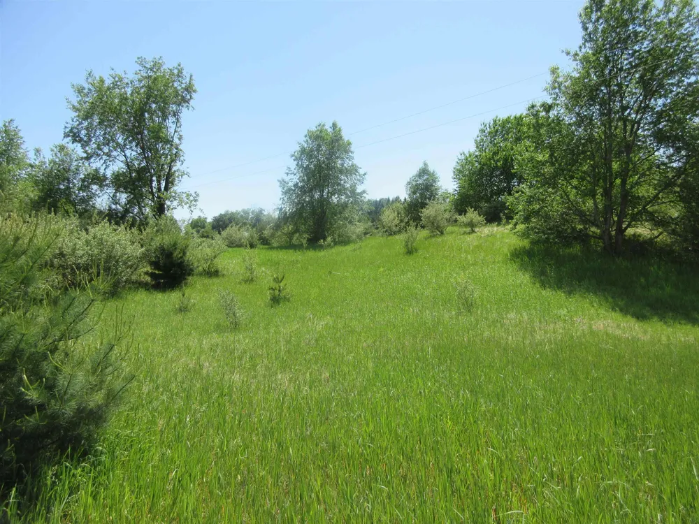 High Lake Road East Bay Township, MI 49696