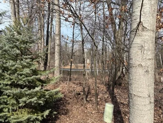 Whitetail Court Churchill Township, MI 48661