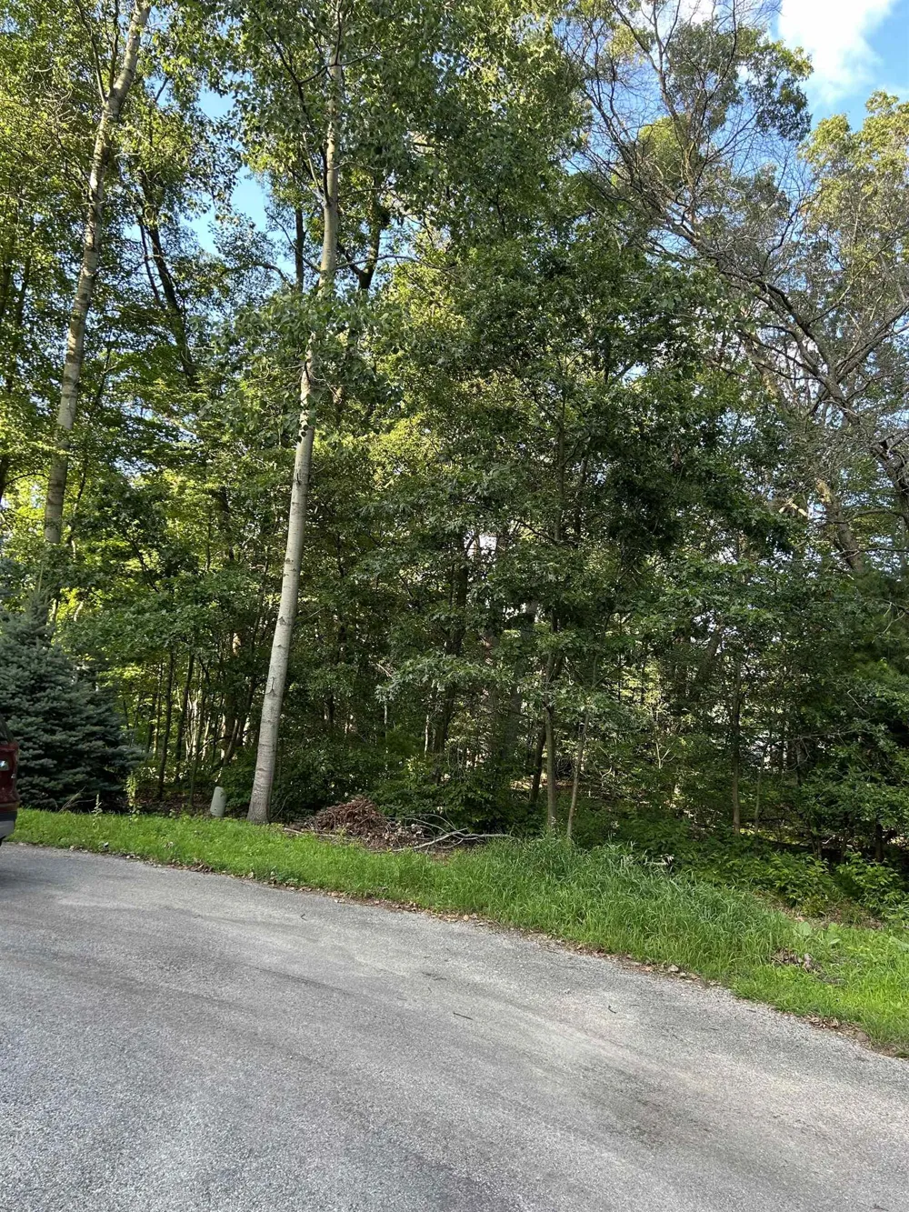 Whitetail Court Churchill Township, MI 48661