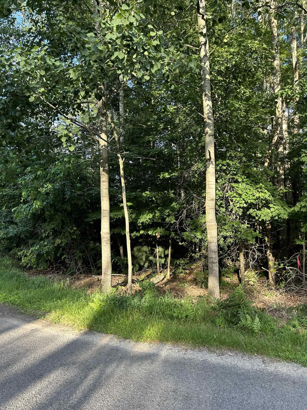 Whitetail Court Churchill Township, MI 48661