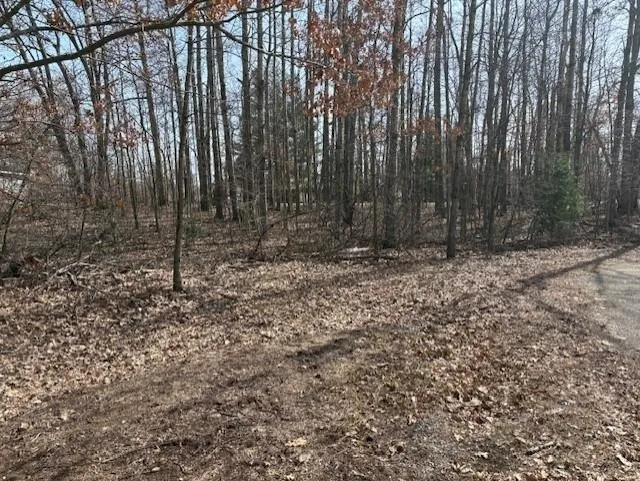 Whitetail Court Churchill Township, MI 48661