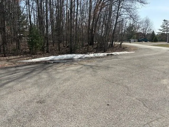 Whitetail Court Churchill Township, MI 48661