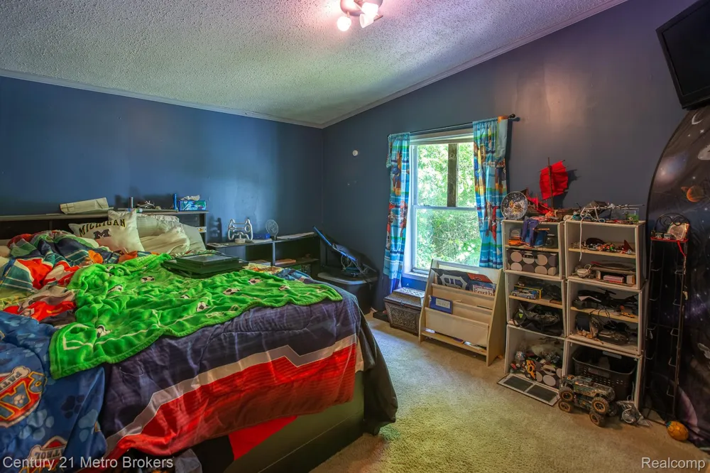 6100 Otis Lake Road Hope Township, MI 49046