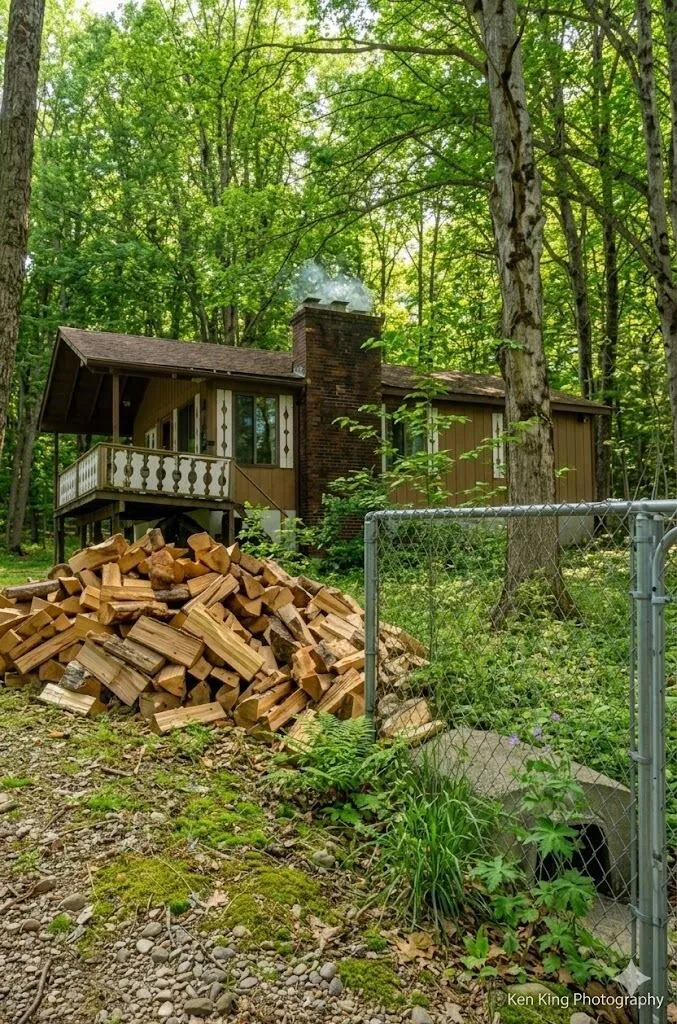 7542 Wyndamar Drive Mancelona Township, MI 49659