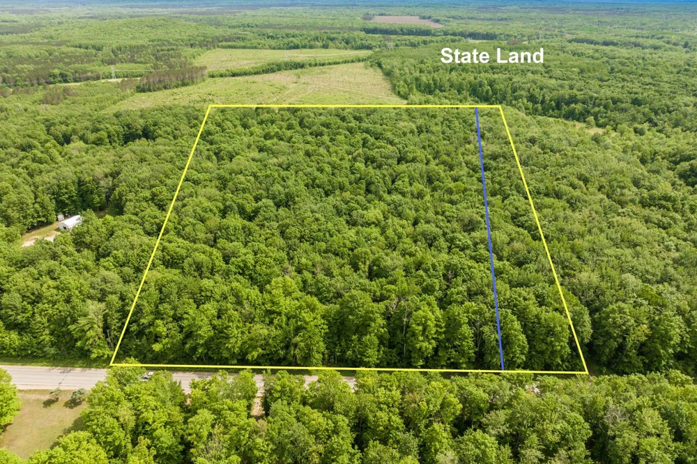 Mancelona Road Mancelona Township, MI 49659